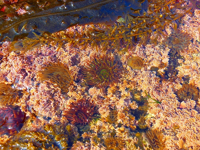DSCN3586.jpg