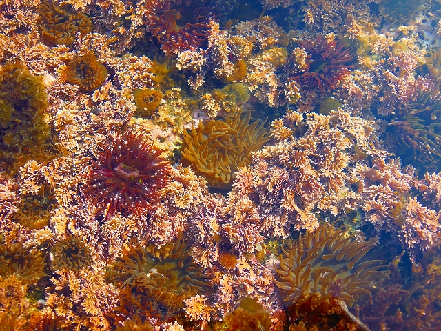 DSCN3592.jpg