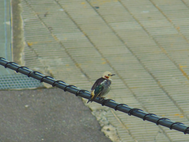 DSCN3726.jpg