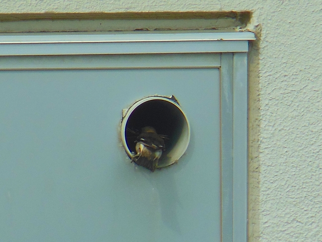 DSCN3732.jpg