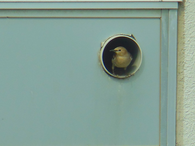 DSCN3733.jpg