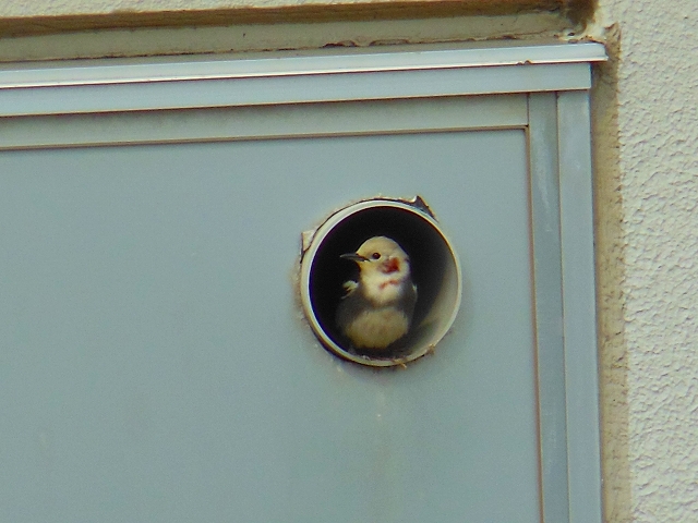 DSCN3737.jpg