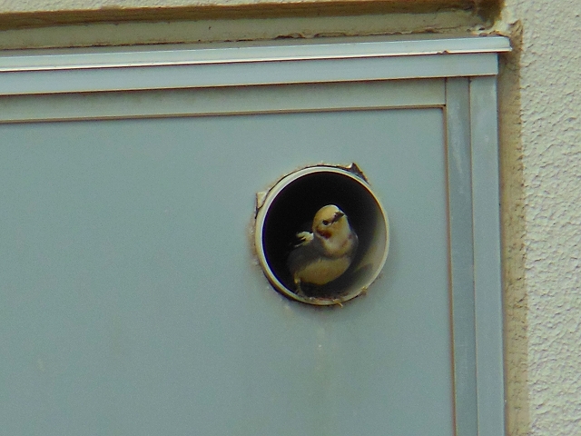 DSCN3738.jpg