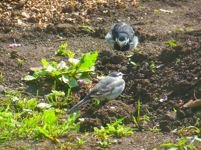 DSCN3861.jpg