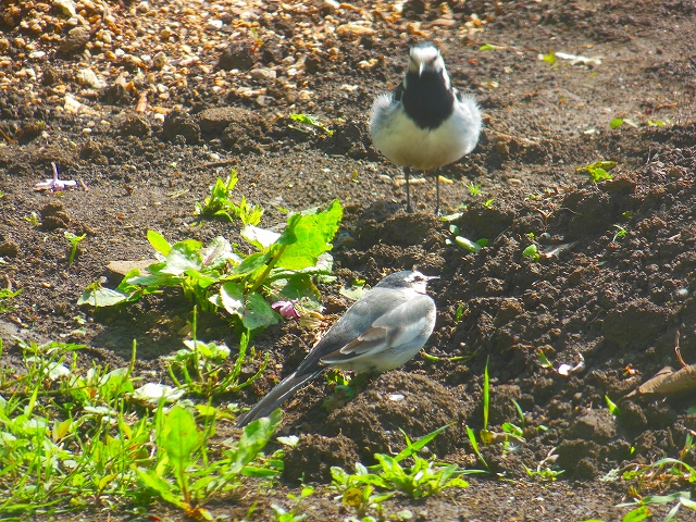 DSCN3862.jpg