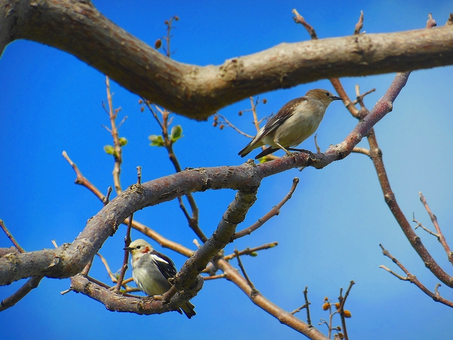 DSCN3888.jpg