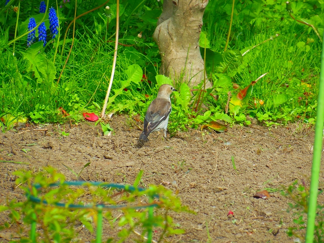DSCN3896.jpg