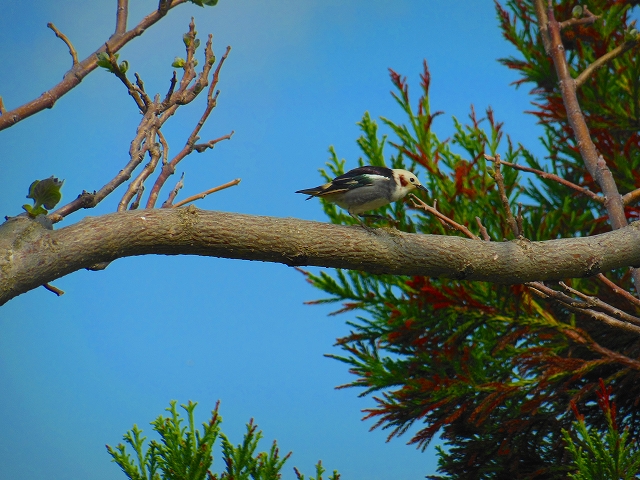 DSCN3897.jpg