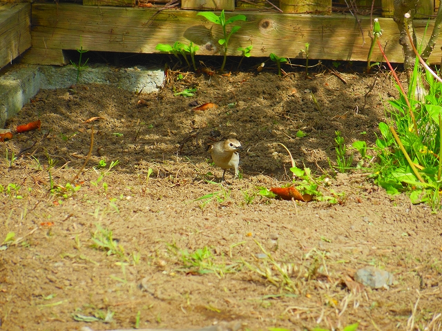 DSCN3899.jpg