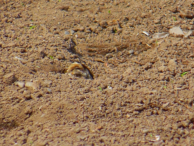 DSCN3975.jpg