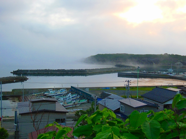 DSCN4389.jpg