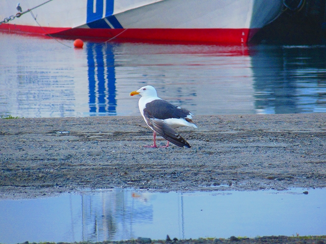 DSCN4397.jpg