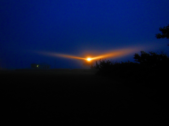DSCN4420.jpg