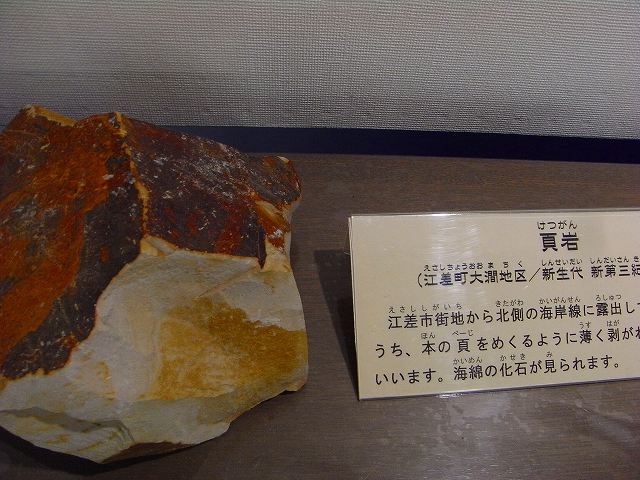 R0013905.jpg