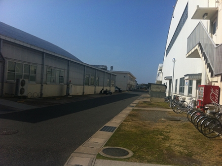 IMG_0755.jpg