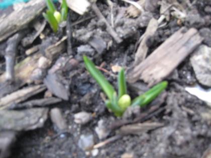 IMG_0171_convert_20130326073321.jpg