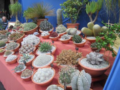 IMG_4039_convert_20130330081726.jpg