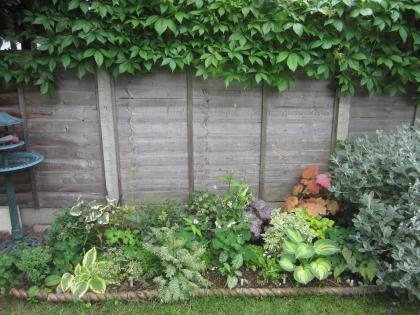 IMG_4368_convert_20130621074450.jpg