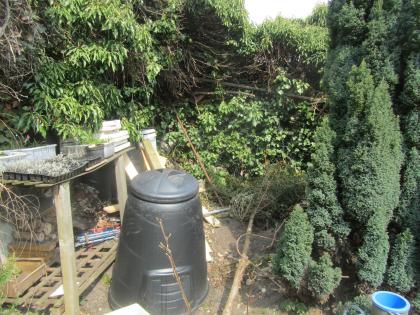 イギリスの片隅で庭仕事 庭の問題 金網フェンス2