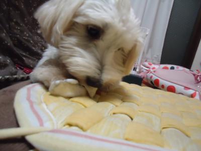 008_20111122004009.jpg