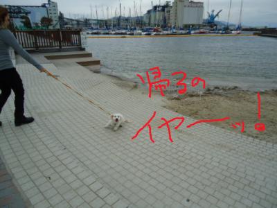 021.jpg