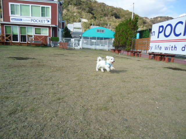 024_20111116190538.jpg