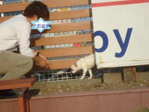 oomae_20111025090835.jpg