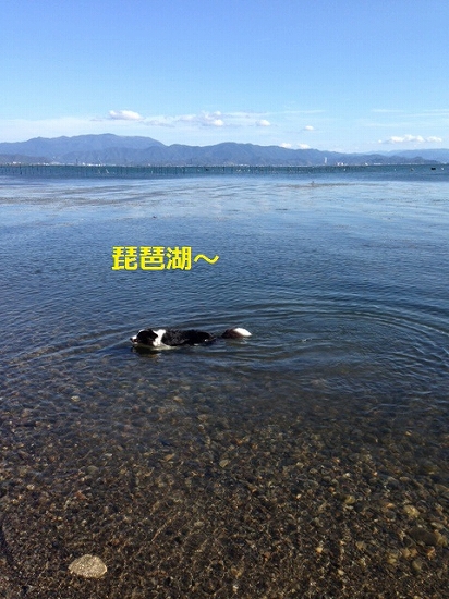 写真 6