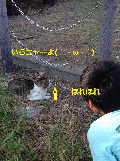 写真 8