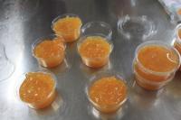 20110116-5.jpg