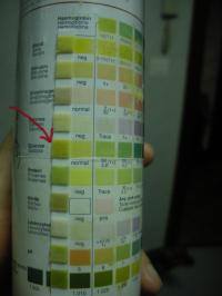 20140924-12.jpg