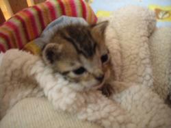 20140924-4.jpg