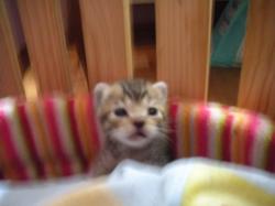 20141002-1.jpg