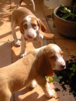 20141002-10.jpg