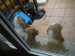 20141002-11.jpg