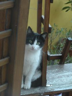 20141002-2.jpg
