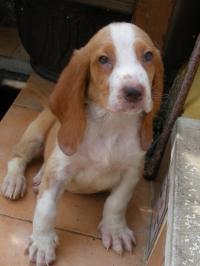 20141002-8.jpg