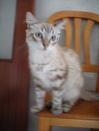 20141007-3.jpg