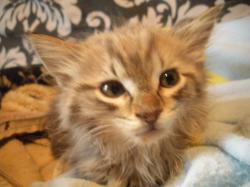 20141007-5.jpg