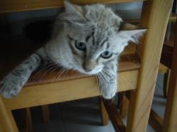 20141007-8.jpg