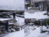 雪
