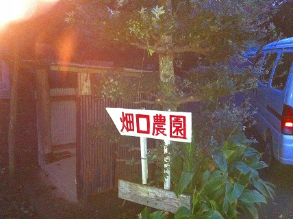 畑口農園1
