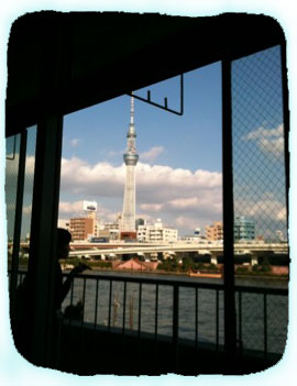 2011.9.30.カワウソからのスカイツリーIMG_3042