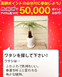 1220monow.jpg