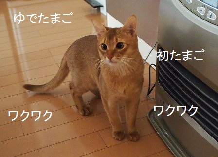 P1260396a.jpg
