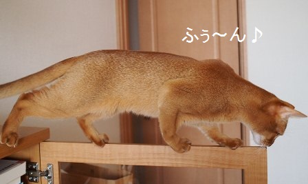 P1270403a.jpg