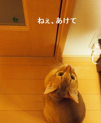 P2080502a.jpg