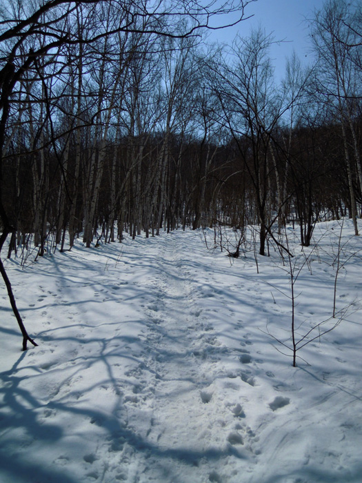 120329-02.jpg