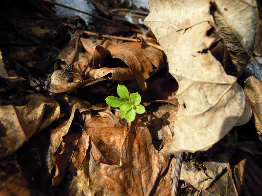 120402-01.jpg