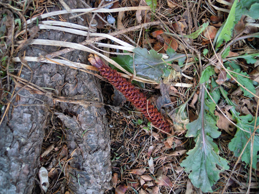 120405-3.jpg